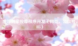 东郊到家按摩程序开发（网页，公众号，H5）