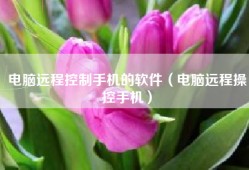电脑远程控制手机的软件（电脑远程操控手机）