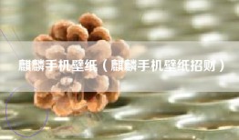 麒麟手机壁纸（麒麟手机壁纸招财）