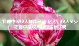 我国中等收入群体已超4亿人，收入多少才算中层收入，您达标了吗