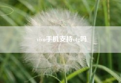 vivo手机支持otg吗
