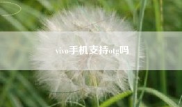 vivo手机支持otg吗