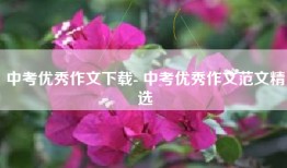 中考优秀作文下载- 中考优秀作文范文精选