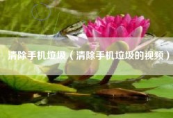 清除手机垃圾（清除手机垃圾的视频）