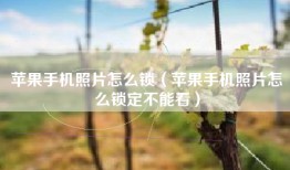 苹果手机照片怎么锁（苹果手机照片怎么锁定不能看）