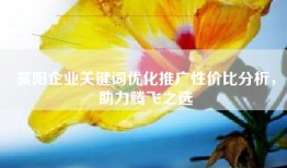 襄阳企业关键词优化推广性价比分析，助力腾飞之选