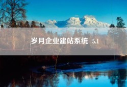 岁月企业建站系统  5.1