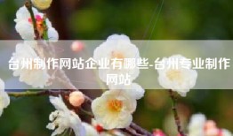 台州制作网站企业有哪些-台州专业制作网站