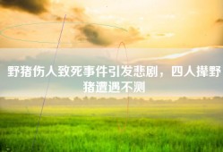 野猪伤人致死事件引发悲剧，四人撵野猪遭遇不测
