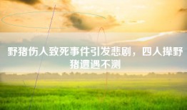 野猪伤人致死事件引发悲剧，四人撵野猪遭遇不测