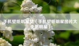 手机壁纸明星女（手机壁纸明星图片大全男明星）
