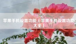 苹果手机设置功能（苹果手机设置功能大全）