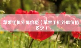 苹果手机外屏价格（苹果手机外屏价格多少）