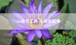 seo排名工具-seo排名软件