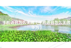 手机语音怎么关闭（手机语音怎么关闭华为）