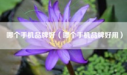 哪个手机品牌好（哪个手机品牌好用）