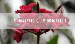 手机领取红包（手机端领红包）