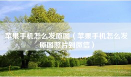 苹果手机怎么发原图（苹果手机怎么发原图照片到微信）