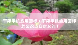 苹果手机应用图标（苹果手机应用图标怎么改成自定义的）
