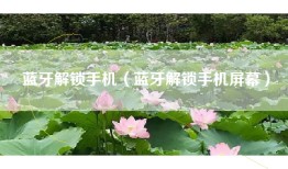 蓝牙解锁手机（蓝牙解锁手机屏幕）