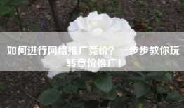 如何进行网络推广竞价？一步步教你玩转竞价推广！