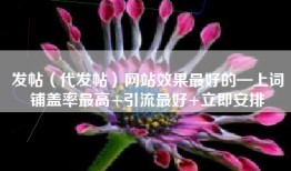 发帖（代发帖）网站效果最好的—上词铺盖率最高+引流最好+立即安排