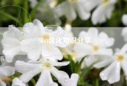 SEO优化知识分享