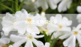SEO优化知识分享