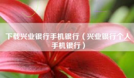 下载兴业银行手机银行（兴业银行个人手机银行）