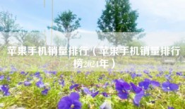 苹果手机销量排行（苹果手机销量排行榜2024年）