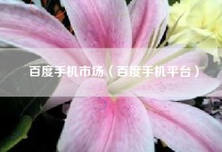 百度手机市场（百度手机平台）