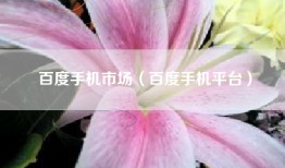 百度手机市场（百度手机平台）