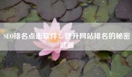 SEO排名点击软件：提升网站排名的秘密武器
