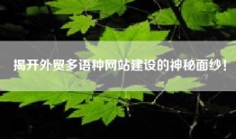 揭开外贸多语种网站建设的神秘面纱！