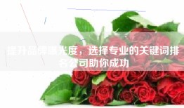 提升品牌曝光度，选择专业的关键词排名公司助你成功