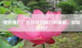 竞价推广广告投放的技巧和策略，你知道吗？