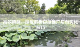 高效策略，深度解析百度推广后台优化技巧