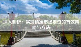深入剖析：实现精准市场定位的有效策略与方法