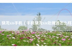 骁龙636手机（手机骁龙636处理器怎么样）