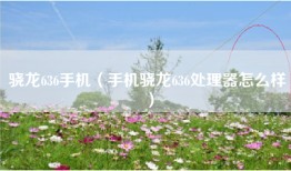 骁龙636手机（手机骁龙636处理器怎么样）