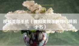 视频美颜手机（视频美颜手机排行榜前十名）