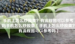手机上怎么炒股票？有流程图可以参考吗手机怎么炒股票「手机上怎么炒股票？有流程图可以参考吗」