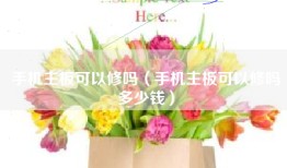 手机主板可以修吗（手机主板可以修吗多少钱）
