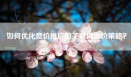 如何优化竞价推广的关键词出价策略？