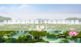 手机服务密码重置（手机服务密码重置失败）
