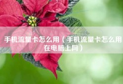 手机流量卡怎么用（手机流量卡怎么用在电脑上网）
