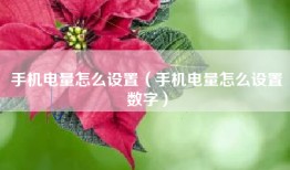 手机电量怎么设置（手机电量怎么设置数字）