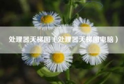 处理器天梯图（处理器天梯图电脑）