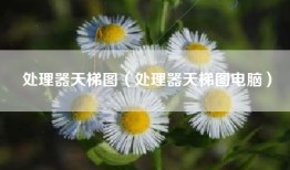 处理器天梯图（处理器天梯图电脑）