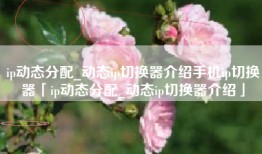 ip动态分配_动态ip切换器介绍手机ip切换器「ip动态分配_动态ip切换器介绍」